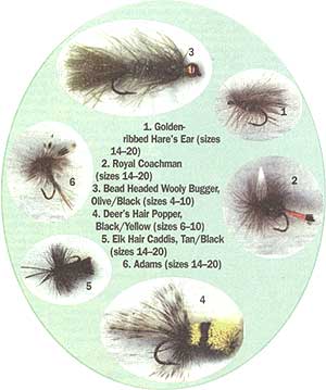 Six good flies. A handful of patterns will get you started. I gave Peter my short list of favorites. He can use these flies for just about any freshwater species, and I guarantee that he'll catch fish. The Hare's Ear and the Wooly Bugger are subsurface flies. The others are dry flies and should be cast and fished on the surface. Smaller sizes are more widely applicable.